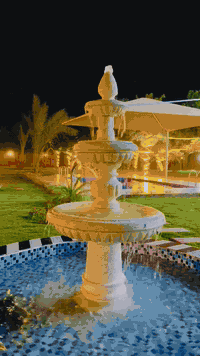 متوفر مزراع طيله الايام الاسبوع المزارع موثقه بتتطبيق اجرلي. للستفسار اتصال ‏‪***********‬‏
