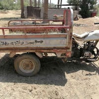 ستوته • شغاله • كربلاء