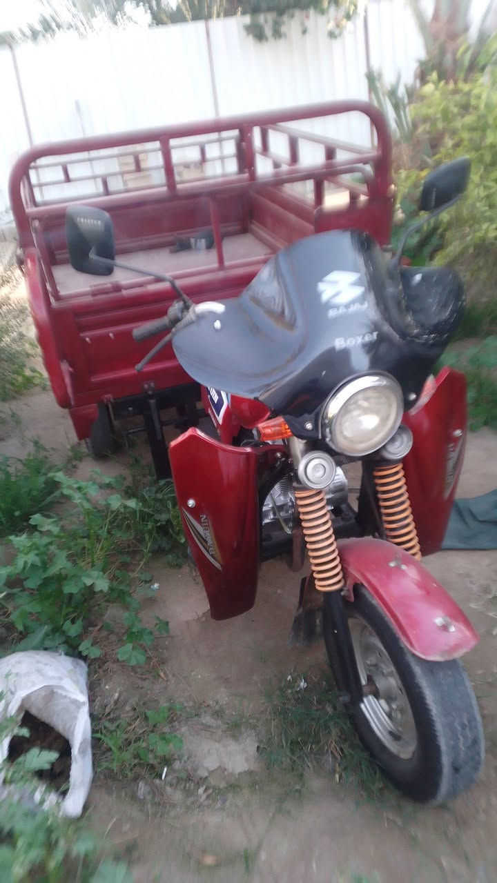 السلام عليكم
ستوته للبيع موديل 19 كهربائيات كله شغاله سلف محرك جديد سعر 1600 وبيه مجال مكان بغداد الراشدية مقابل الحسينيه رقم ***********
