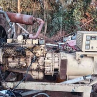 مولده للبيع كمنز ١٠٢ توليد ١٥٠ كيفي ٠٧٨٤٢٣٠٥٥٧٩