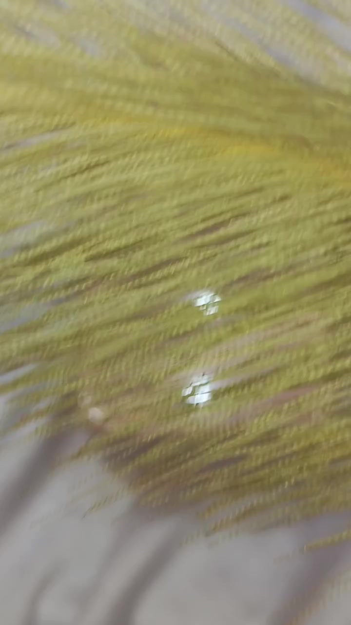 اسم المنتج: لوشن الجسم العطري بالسكوالين والخوخ (Squalane Peach Fragrant Body Lotion).
المكونات الرئيسية (حسب الملصق):
السكوالين (Squalane): مادة مرطبة قوية تساعد في ترميم حاجز البشرة والحفاظ على رطوبتها.
خلاصة الخوخ: تعطي رائحة عطرية فواكهية ومنعشة.
الحجم: 450 مل.
مميزات المنتج المتوقعة
ترطيب عميق: بفضل وجود السكوالين، يعمل اللوشن على تنعيم البشرة الجافة بفعالية.
رائحة عطرة: يتميز برائحة الخوخ المميزة التي تدوم على الجسم.

يوجد لدينا توصيل لجميع انحاء العراق 
للحجز والاستفسار خاص 
 #العراق #محافظات #الشماليه #الجنوبيه #اكسبلور #منتجات #تجميل #ترطيب #عنايه #بالبشره #الشعر #الجسم #مشاهدات


**إذا كنت صاحب هذا الإعلان وتريد حذفه لأي سبب، رجاءا أرسل رسالة إلى الدعم الفني**