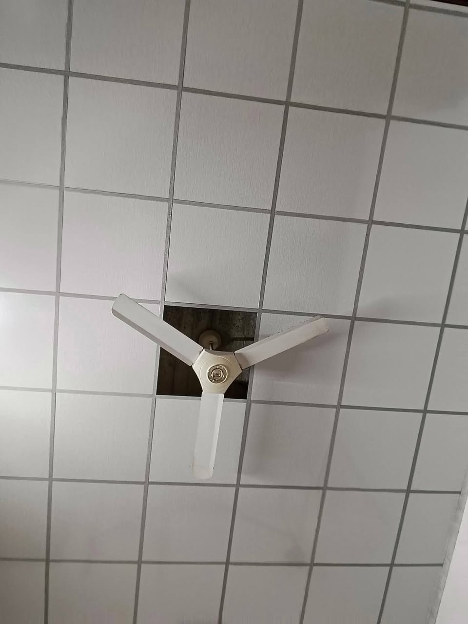 السلام عليكم
صباغ اشتغل داخل      
وخارج أنواع الصبغ 
والتصليح بسعار مناسبة 
شغل كلش حلو ومرتب 
***********
الرقم الاستفسار خاص:🌺 
 
   (  واتساب مفتوح
