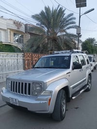 لبرتي • ٢٠٠٨ • كفالة عامة