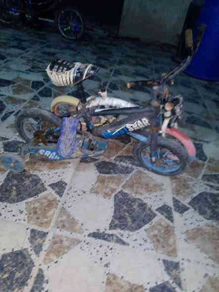 السلام عليكم ورحمه الله وبركاته بيسكال للبيع اثنينهم  الواحد اب عشرة  ***********
