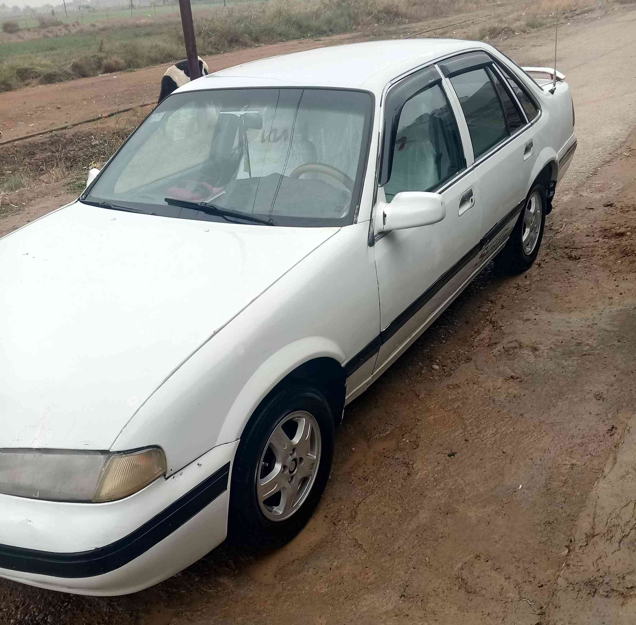 السلام عليكم
دايونرنس كيرمحرك اكسل شرط
صدركهربائيات تدفئه تبريد يحتاج صيانه
رقم دولي 29صلاح الدين 
شرط التحويل السعرقفل30
مراوس BMWهم يرهم


**إذا كنت صاحب هذا الإعلان وتريد حذفه لأي سبب، رجاءا أرسل رسالة إلى الدعم الفني**