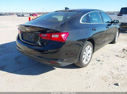 2025 CHEVROLET MALIBU FWD 1LT
اللون/اسود 
/عداد المسافة 29,625 mi
المحرك-1.5L I-4
القيادة :تعمل وتسير 
 المفتاح  :  موجود 
الحادث : كما موضح في الصور
تاريخ المزاد :  2026/1\5الساعة 4:30م
شراء و شحن السيارات من كافة المزادات الامريكية و الكندية الى العراق و الاردن و الامارات بأنسب الاسعار و اسرع الاوقات  كما توفر لكم الشركة في مقرها بالاردن صيانة السيارات باسعار مناسبة  ثم شحنها وتخليصها  الى كافة المحافظات االعراقية وكردستان  ومع ضمان لكم سرعة الانجاز بالطرق  القانونية وبناقلات عراقية كما توفر لكم الشركة خدمة بيع سياراتكم في معرضها الكاىن بالزرقاء بالمنطقة الحرة لمن يرغب  بدلك لمزيد من المعلومات يرجى زيارة مكتبنا الكائن في بغداد -صليخ_شارع ل٦٠٠/شارع التفاحه / (مكتب الرحمن )  او الاتصال على الرقم 
 ***********
