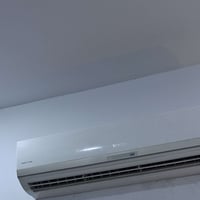 سبلت • ٣ طن • توسوت