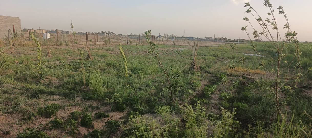 سلام عليكم بيت كامل منه غرف عدد2 و الحمام و الباغي  بعده و جواه ارض اكثر من دونم و نصف طابو زراعي سند 25 ماء جواه و كهرباء فوكاه و سكن موقع حلو و 
مرتب للستفسار *********** موجود واتساب 
سعره مناسب جدا
