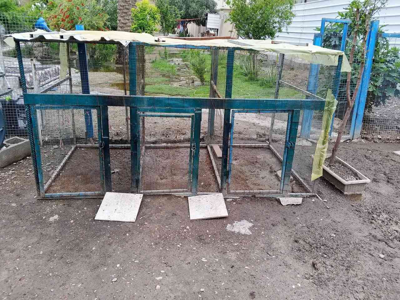 السلام عليكم....متوفر قفص مقسم الى ثلاث خانات وحديد ثقيل وسيم مغلون قفص تعبان علية وسعرها مناسب ...مكاني بغداد....السعر ١٥٠ مع المجال ..ليريد يراسلني خاص


**إذا كنت صاحب هذا الإعلان وتريد حذفه لأي سبب، رجاءا أرسل رسالة إلى الدعم الفني**