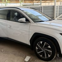 توسان فول • ٢٠٢١ • رقم اربيل