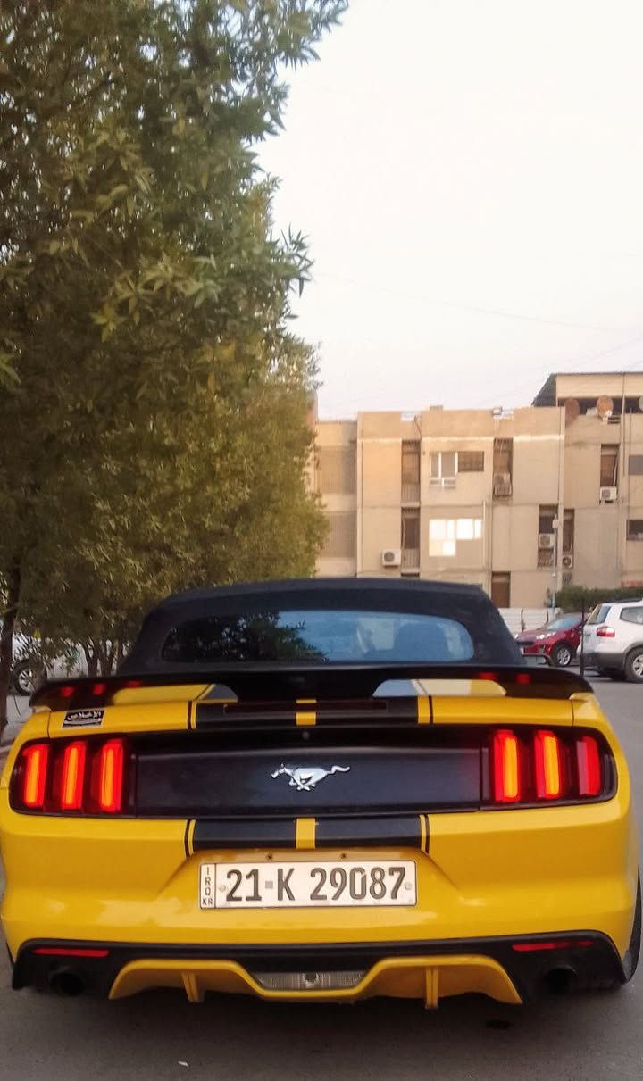 موستنك موديل 2017فوول كشف لون مميز اصفر ايكو بوست حادثھھ شوية من البنيد مبدل اصلي نفس اللون السيارة مكفولة من الصبغ ماعدا الدعامية محدثة GT.وبيھھ اصبع سحب كت كما موضح بالسونار.الشواصي واللغود سليمة محرك كيرحدادية تدفئة تبريد تمام وبسعر مناسب..عليھھ كت كامل السيارة نصبتھھ كلش حلوة ويل كب 20كراسي جلد تدفئة تبريد شاشة كبيرة كامرة حساسات خلفية بصمة تشغيل عن بعد  ..السيارة جاھزة ومابيھھ اي نقص..مكاني بغداد حي الجھاد وبسعر مناسب نقد اومراوس..***********..غيرمتواجد على الفيس رقمي بي واتساب للتفاصيل والاستفسار
