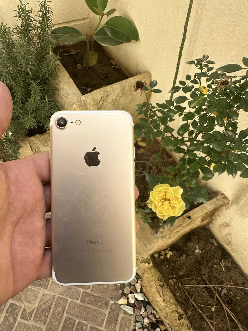 السلام عليكم ايفون 7 عادي
ذاكرة 128

بطارية 100 مبدل جديد

كلة شغال بس سيمكرت وبصمة ما يشتغل الباقيً كلة شغال سعر 30الف


**إذا كنت صاحب هذا الإعلان وتريد حذفه لأي سبب، رجاءا أرسل رسالة إلى الدعم الفني**