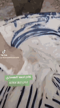 #اسلام #عليكم كادر لبخ جص من الموصل شغلي مستمر في الشرقاط شتقلت بيوت عديدة في #الشركاط الخصم بعاجة جميلة حي العسكري الطوب شقل من اخ لخو شرط ماشد امرا البيت يطول 3إيام المبيت ابنفس البيت النشتغلو التزام بالموعد وأتقان بالعمل مواصفات العمل حسب الطلب تنعيم جام وصور كدام🌹 العين متواجد في قرية شكرا الي يحب يشوف الشغل يتفضل خاص او أتصال ***********
