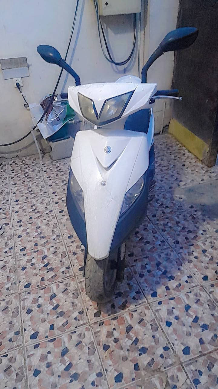 سلام عليكم ثعلب للبيع مكاني الدوره ***********
