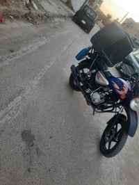 بوكسر • جبلي • ٢٠٢٢
