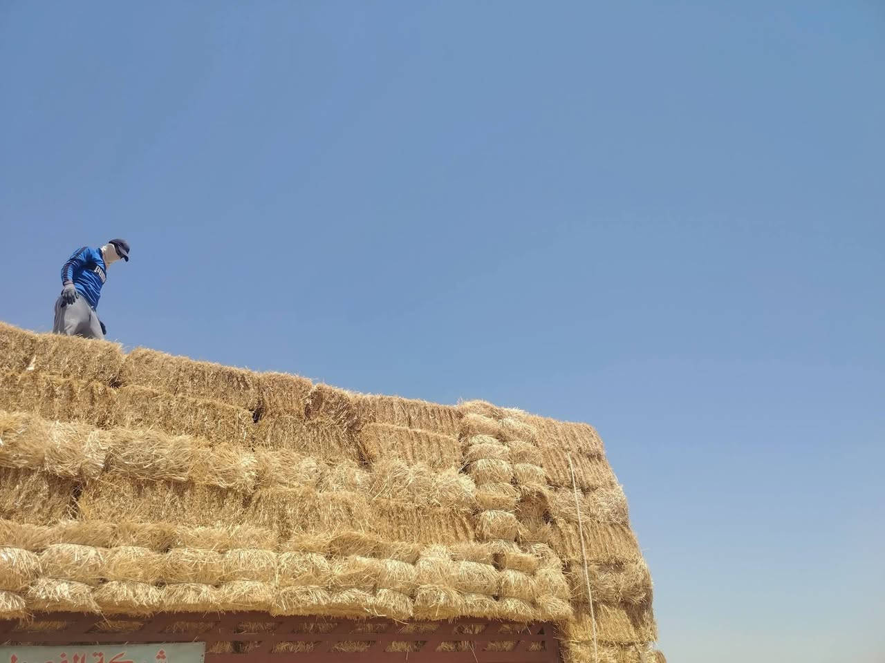 السلام عليكم كبس للبيع مال السنه حنطه طول الكبسه متر او 90 والتوصيل ال كافة العراق***********
