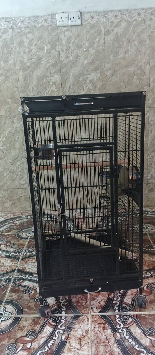 قفص ببغاء 🦜🦜
الحديد كلش قوي مااحجيلك 
القياس مع اللعبه 120 بدون اللعبه متر 
العرض46
🍏🌹


**إذا كنت صاحب هذا الإعلان وتريد حذفه لأي سبب، رجاءا أرسل رسالة إلى الدعم الفني**