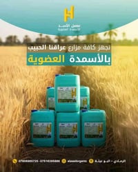 منتوج وطني • الرمادي البوعيثة