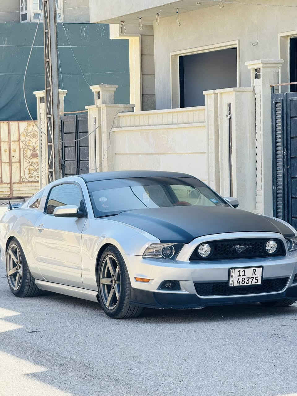 موستنك موديل 2014
مكينه كير بلادي ع رضع الشركه 
سياره نضيفه بدون نقص 
رقم مصطره هزه جديده بسمي تحويل ثاني يوم
سياره احلا من الصور تبريد تدفيه كهربايات كلو ع وضع الشركه مكاني موصل
سعر115مجال قليل 
للستفسار ***********
