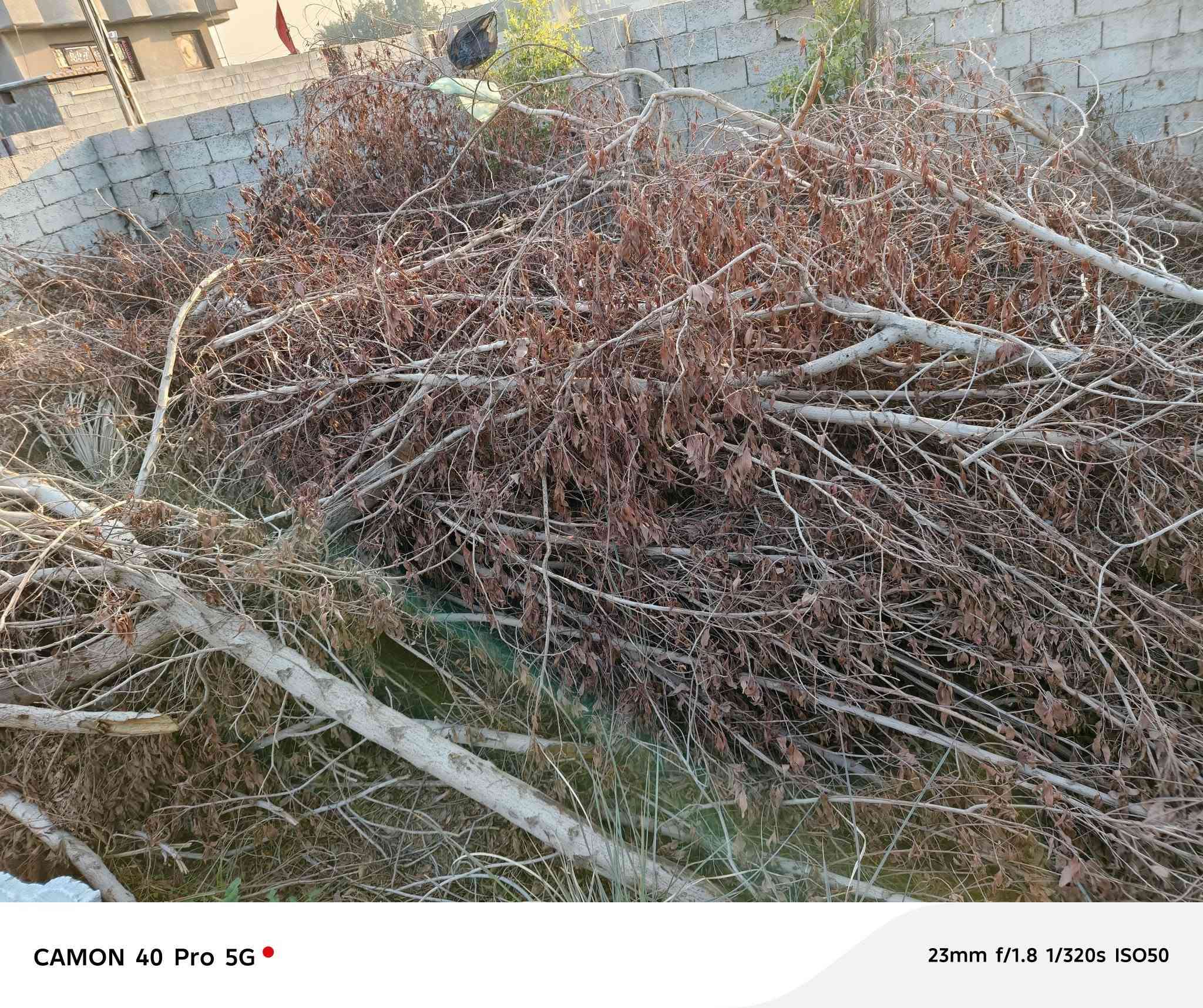 سلام عليكم حطب للبيع انطي سعر الي يعجبك واخذه مكان نهروان قرب اسواق القمة ***********
***********
