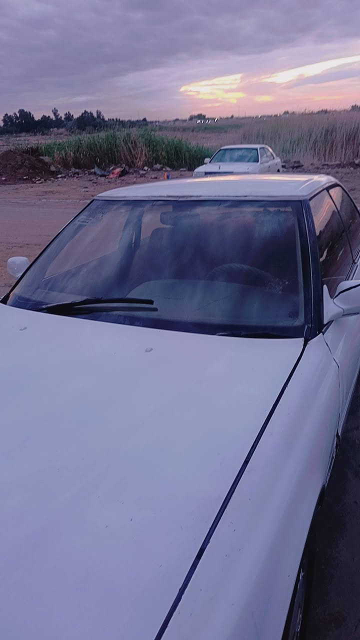 سلام عليكم مارك عضم مكفوله من كص ونقل جثه رقم بغداد بسمي مشروع وطني مكينه ونجي ناعم حداديه 50 بلميه مكينه وكير طبكه جديده سياره مديل 91 تخم تاير جديد مكاني نجف بصخير شباب اني مكلف بنشر لحد يراسني مارد علمراسله هاذ رقم راعيه نتصل وبيك خير وتدلل *********** سعر 35 وبيه مجال
