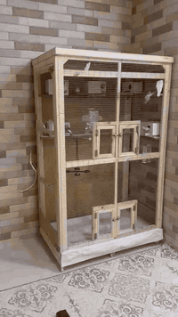 ئەم قەفەزە بۆ فرۆشتن زۆر کەم بەکار هاتوە هەمووی سکەیە دەتوانی هەڵێ بوەشێنتەوە دوبارە دروستی بکەیتەوە بەداری ڕوسی دروست کراوە بە تەلی BRC ڕو پۆش کراوە ، دەتوانی  بڕۆیتە ناو قەفەزەکەوە  بەئیسراحەت دەست کاری ناوی قەفەزەکە بکە یت ،  ژێرەیەکی تۆکمەی بۆ دروست کراوە ، نرغی 100 هەزار و مەعامەلە شوێن کلار ، ***********، ***********
