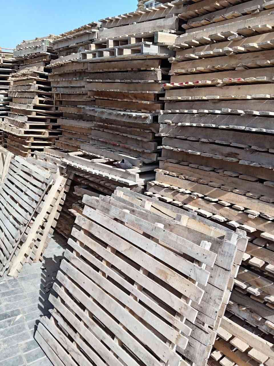 السلام عليكم سكيب للبيع عدد 800 مكان كوت***********
