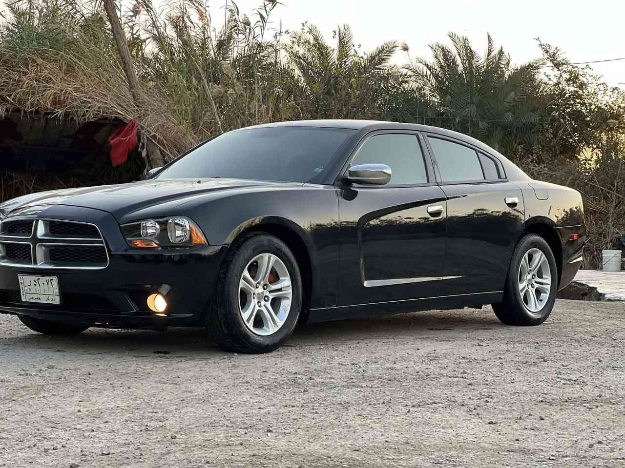 جارجر 2014للبيع رقم ذي قار مشروع وطني تحويل ثاني سنويه بعده مامنتهيه جاهزه للاخير مال جناي وارد امريكي جاملغ وبنيد تبديل جهه العبري بدون دواخل وبيه رش حزام اثر شخوط فرن درجة اولى مكينه 3600سته سلندر مابيه اي نقص مكينه كير تبريد تخم تاير حداده لايت زنون بلعافيه علياخذه السعر 145 مكاني ناصرية سوق الشيوخ ***********
