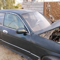 بطة • للبيع • مجال سنوية ٣٠