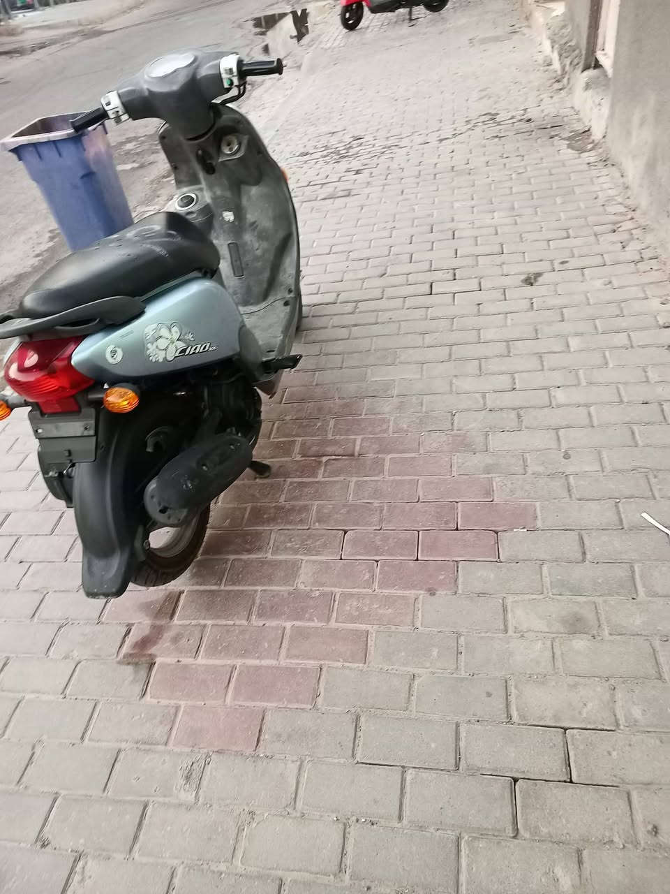 سلام عليكم فلة كفاله عامه من كل شي سعر 800 وبيه مجال شراي اتصل ع رقم مكلف بالنشر، مكلف بالنشر ‏‪***********‬‏
