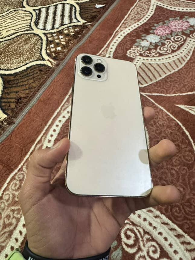 ‏سلام عليكم بيع  12  برو ماكس فقط ￼￼ ‏شاشة مبدلة ￼ المواصفات 256 الذاكرة البطارية 88 جهاز نظيف
 شراي اتصل على الرقم ***********
