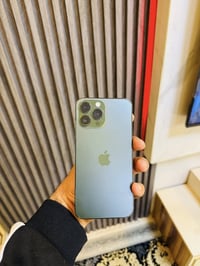 آيفون ١٣ برو ماكس • ٢٥٦ • زيتوني