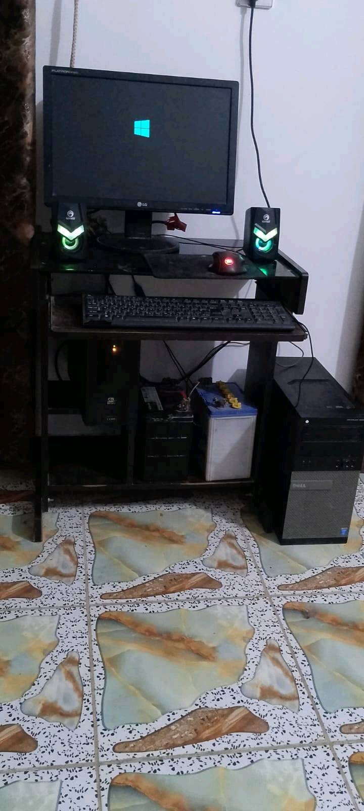 الشعلة السلاميات