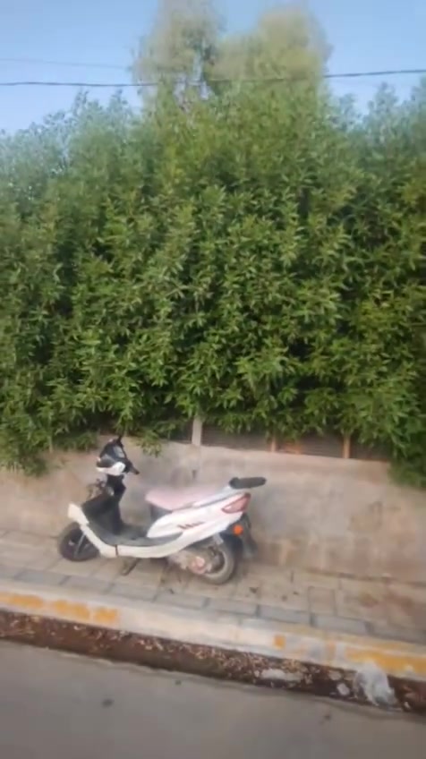 يا الله السلام عليكم
فرصه استثمار
بيت للبيع في الكرامه سنتر على اليهوديه
سعره جدا مناسب مساحته ٢٠٠ متر طابو زراعي سند 25 
***********
