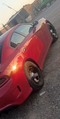 بصره القرنه • مراوس • تخم ويل بوليسي