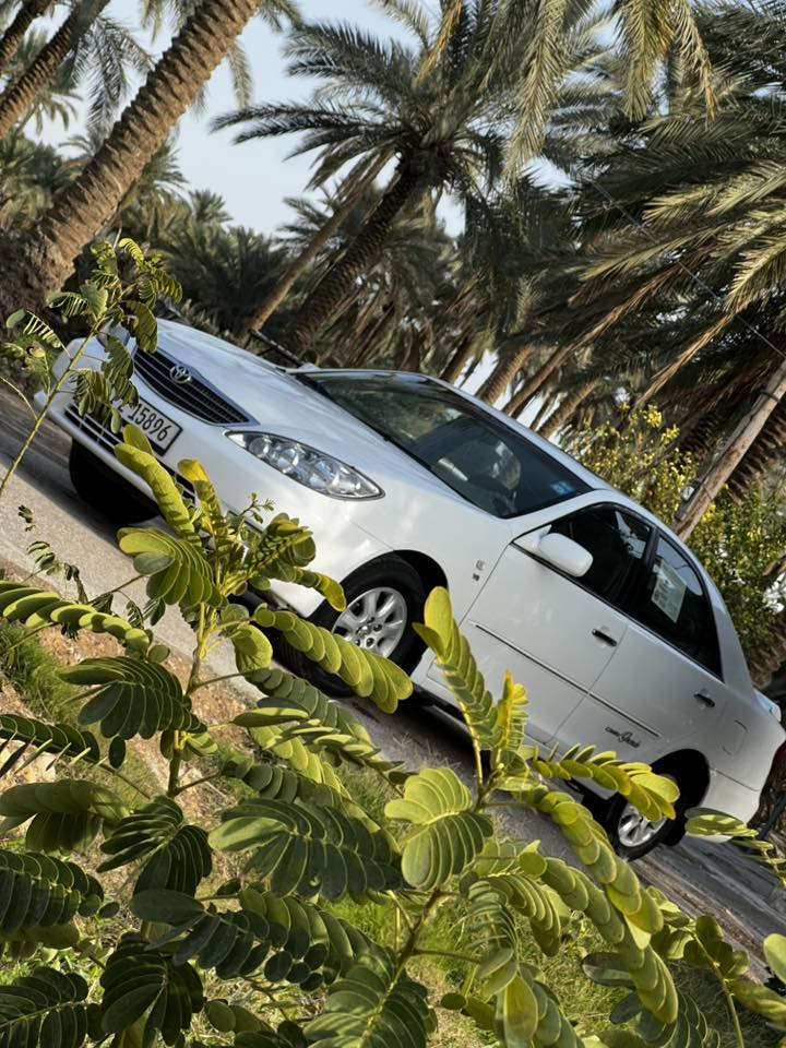 كامري موديل 2004 وارد خليجي كراند فول مواصفات مكفوله من كلشي وجاهزه رقم بغداد دولي باسمي 
السعر125
اي استفسار ‭٠٧٨٠ ٢١١ ٦٥٩٧‬
