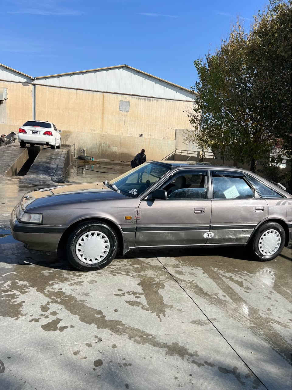 مازدا ٨ بەخ 
مۆدیل ١٩٩١ 
ئارم بلاستیکو سەنەوی ئەسلی لەکەلە 
بی لیدرانو جالو جۆلیە 
گێڕو مەکینە بە شەرت 
تەبرید کەرمی 
کارەبایەدی هەموی بە شەرت 
 هەیکەلی زۆر ریکو جوانە 
٤ تایەو ویلی تازەی لە شێرە 
*********** رانية, السليمانية
