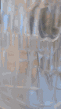 دايون • موديل ١٣ • أوراق أصولي