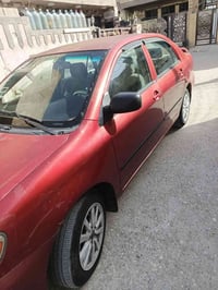 كورلا • نحله