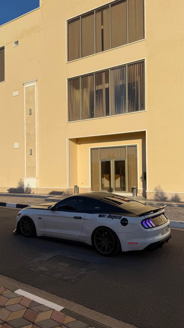 #مراوس_فقط_حسب_القناعة فورد موستانكGT كاليفورنيا سبيشال (CS)  V8 Coyoteموديل 2016
حادث جاملغ خلفي طخة فقط وصبغ
بالعراق بنفس الصفح صار بيها شخط انصبغ الباب  والجاملغ الامامي الصور مرفقة يعني ٣ قطع بخ فقط
#الاضافات
Air Liftجكات تحكم تلفون  S3 
هدرز Jpa"لونغ تيوب" (Long Tube Headers
دبات روش Roush
حلوك صالنصة كاربون اصلي Akrapovič (أكرابوفيتش
دركة كاربون فايبر اصلي
دواخل سستم كاربون فايبر 
شاشة ولوحة التحكم Sync3 Shalabi
سستم صوت Sp  Audio 
سستم اوريكل لايت امامي تحكم تلفون
بك لايت اوربي متغير تحكم تلفون 
داخل جلد بلادي احمر 
تدفئة وتبريد كشنات 
ويل 20 GT Performance
سستم صدر جديد بالكامل خلفي امامي موديل وكالة
راديتر وبنكات ومنضومة احتراق بالكامل جديد
بلكات motorcraft
فيت بم Oem
تغطيس داوخل المكينة
أويل كاج كان" (Oil Catch Can) 
ستراس بار Strut Tower Brace
Mishimoto (ولف حماوة 

السيارة ستوك بدون اي برمجة فقط برمجة مراوح
السيارة بجم كبس بدون اي شواصي ولغود 
مكينة مفتوحة سيارة 
جان بيها بساتم تزويد وكرنك من شركة JE Pistons 
هسة السيارة راجعة المكينة بلاد بدون اي تزويد
كير مكينة شرط الكفالة 
#رقم_اربيل_تحويل_مباشر_بااسمي
اخي الحبيب كلشي موضحلك عجبك خابرني ويخدمتك 
مكان السيارة الرمادي 
*********** الرمادي, الأنبار
