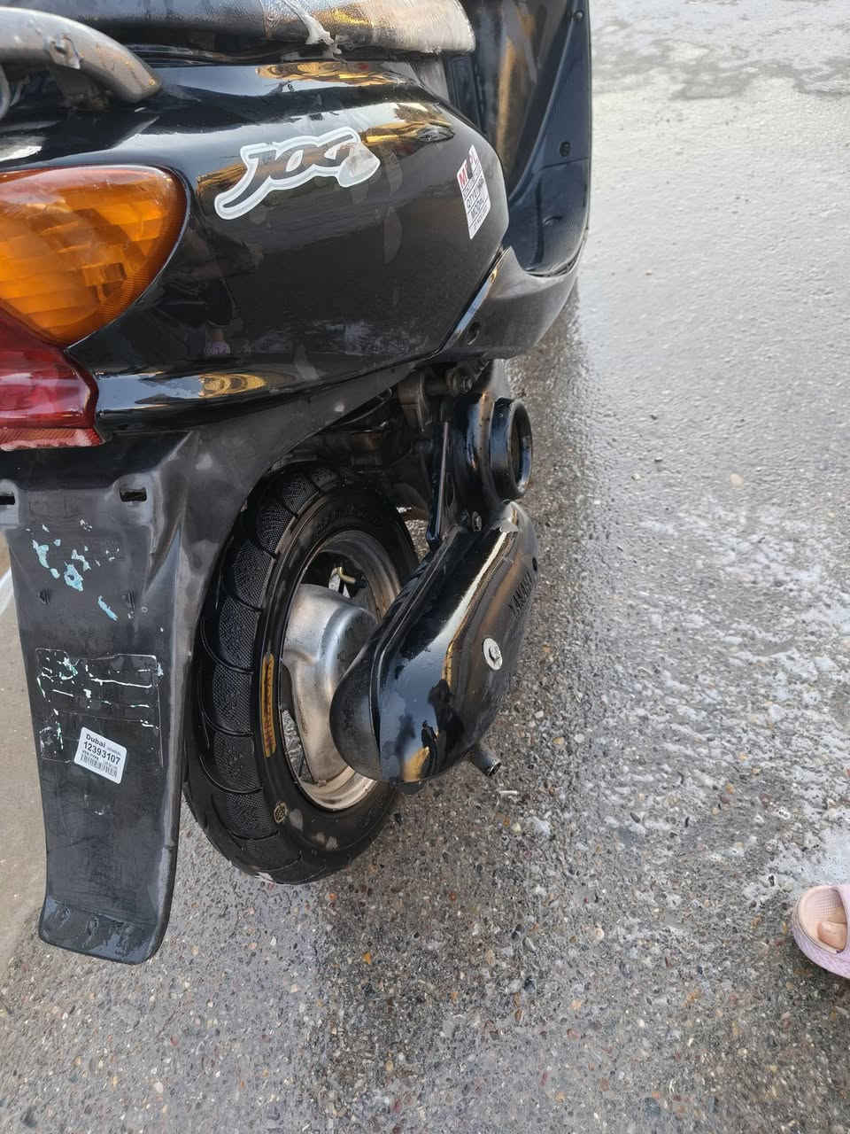 السلام عليكم عصفوريه بغداد العبيدي الشهداء الثالثه قرب مدرسه عمر عبد العزيز ***********سعر ٣٠٠
