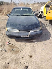 برنس • تفصيخ • بابل مسيب