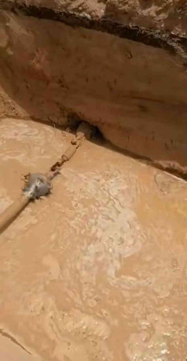 نعلن عن جاهزيتنا لتنفيذ جميع أعمال الحفر بأحدث المعدات وبطاقم مختص، وتشمل خدماتنا:
✔️ حفر عبارات توازية
✔️ ثقب شوارع  وأفقي
✔️ حفر وتمديد عبارات ومجاري
✔️ حفر خدمات (مياه – صرف – اتصالات)
✔️ العمل داخل الشوارع دون إعاقة الحركة
✔️ دقة في التنفيذ والتزام بالمواصفات
📌 نعمل للمقاولين والجهات الحكومية والخاصة
📞 للتواصل: (***********
***********)
الخبرة عنواننا… والإنجاز في الوقت المحدد
