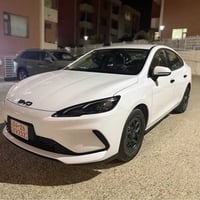 بي واي دي سيل • ٣٠٠٠ كم • بدون صبغ