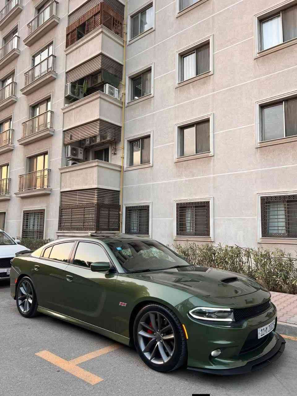 للبيع دوج چارجر سگات باگ موديل 2018 ✅

سعرها ادخل ع رابط https://t.me/carssofiraq/16137

بدي اصل SRT سوبر تراك باك بلادي الون زيتوني السياره فول مواصفات 1/1 للاخير عدا الرادار فقط وارد امريكي حادثها خشم البنيد  وصور الحادث موجوده والباب خلف سائق صبغ .
السياره بدون اي نقص ايدي بيها ماشيه 87mi شرط كير ومكينه وصدر جديد مبدل تراي بدون اي رجه السياره رقم بغداد (السنوية باسمي) وعليها رقم يخبل كلش حلو وسياره ايدي بيها بدون اي نقص 
====================================
المواصفات ...
بصمة 
فتحة
داخل كنتاره مختوم سكات 
كشنات خزن ميموري 
كشنات حضن
تدفئة وتبريد بالكنشات الامامية
تدفئة بالكشنات الخلفية
تدفئة استيرن 
سستم سماعات بيست 
دمام خلفي بيست 
كلاصات تبريد وتدفئة 
فچوج برمبو ٤ بستم
نظام LAUNCH
نظام DRICVE MODES
شاشة كبيرة 8,5 أنج جميع الأوبشنات مفتوحة 
كير 8 نمر
شفتات استيرن
حساس خلفي ابلادي 
كشافات زينون 
منظومة زينون شادلها 
كامره خلفيه دواره HD
دبلات صفر SRT
ويل گب دايتونا 
ولف حماوه ريسنگ انسة الحماوه صيف وشتى 
فصله بلاديه ممفتوحه
دبات سود SRT
احزمه لون اخضر 
شوته رياضيه 
دگمه سبورت
رقم الشاطي هذا ( 2c3cdxgj4jh318942 ) 
مسويله تفريغ ونعمه صوت يخبل طرب وشادلها كاتم صوت بوابات 
وبعد بيها هواي مواصفات شباب المحرك 6400 اصل بالسنوية 
 السياره شوفتها مال موديل 2023
 بدي اصل SRT السياره عارضها بسعر حلو مال بيع مكاني بغداد (بغداد الجديده)
للاستفسار اكثر ***********
اسف ع الاطاله 🌹
.
.

🚗اعرض سيارتك ع اقوى قناة تلكرام و واتساب و صفحتي فيسبوك للبيع و شراء سيارات ادخل ع رابط 👈 https://t.me/carssofiraq
