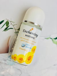 مزيل عرق • تفتيح • ثبات ٢٤ ساعة