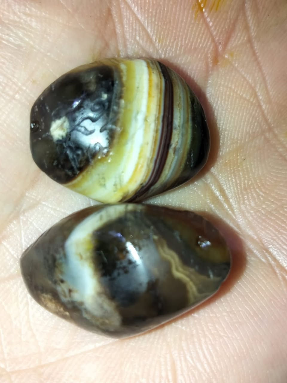 تفاضيل خاص


**إذا كنت صاحب هذا الإعلان وتريد حذفه لأي سبب، رجاءا أرسل رسالة إلى الدعم الفني**