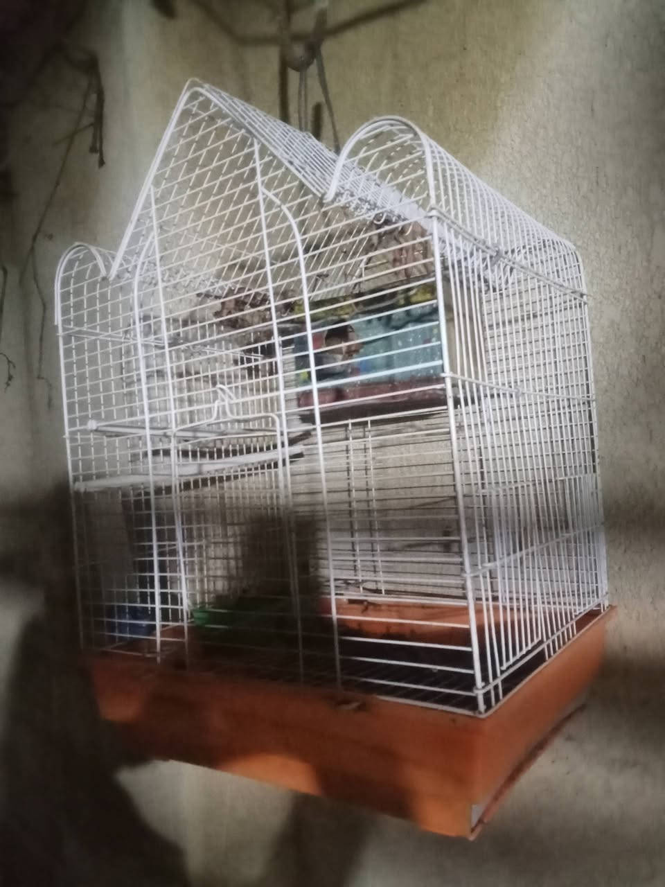 للبيع قفص مع غرفه داخليه و ملحقات السعر 30 وبي مجال


**إذا كنت صاحب هذا الإعلان وتريد حذفه لأي سبب، رجاءا أرسل رسالة إلى الدعم الفني**