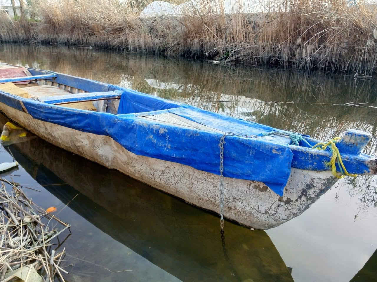 السلام عليكم چينكوه للبيع الطول ١٣/او ١٤ حلوه مرتبه السعر المطلوب ٣٥٠ الف العنوان بصره أبي الخصيب حمدان بين الروميه والجبليه رقم النقال *********** مع الشكر والتقدير
