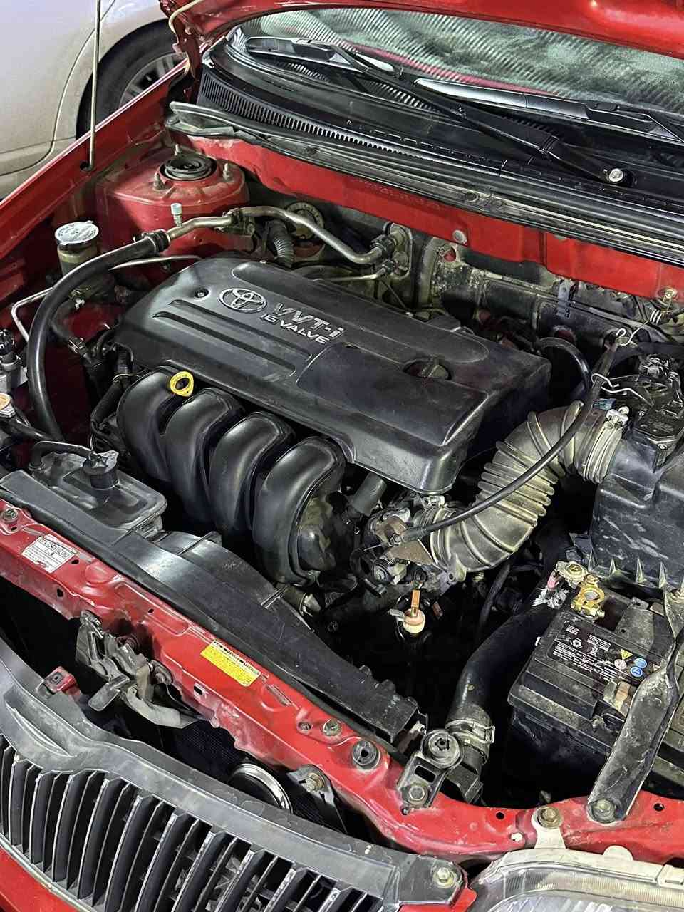 كورلا للبيع موديل 2006مصبوقه جاليه فرن السياره جاهزه من كلشي مال جناي وبسمي تحويل ثاني يوم ضر شويه بلبدنه حتى ما مبين ولا معمر على حطته عيفه تبريد ثلج تحم تاير منضمومه زنون صدر جديد السعر 85وبيه مجال قليل والمو شري لا يعتبني 
العنون مدينه الصدر الورفلي ***********
